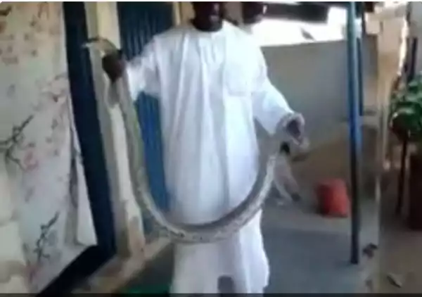 Strong Man!! New Chief Of Army Staff, Tukur Buratai Plays With A Large Snake [See Photos]